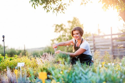 Well-kept garden maintenance in Pinner with tidy lawn and borders