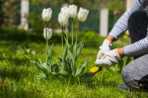 Tree surgery in Pinner for healthy and safe garden trees