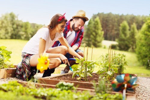 Regular grass cutting service in a Pinner backyard