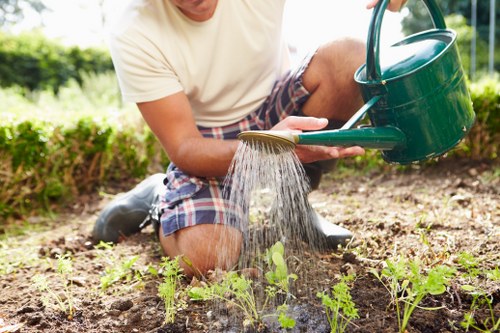 Garden layout planning for landscape gardening in Pinner