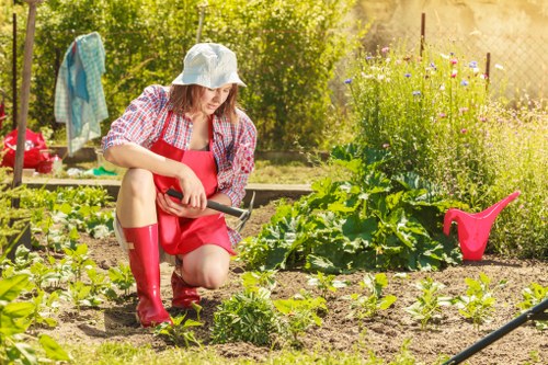 Lawn and hedge care provided by gardening services in Pinner