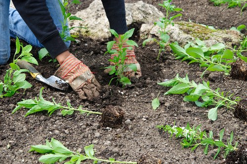 Legal governing law section for UK gardening terms