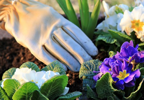 Professional lawn care in Pinner for a tidy residential garden