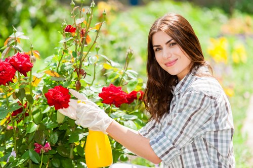 Seasonal garden maintenance and mowing in Pinner