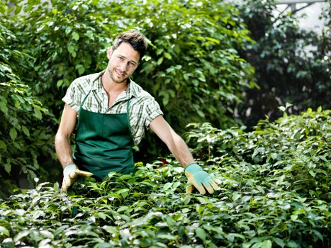 Responsible gardening work guided by safety standards