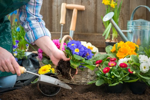 Professional garden maintenance in Pinner for a tidy outdoor space