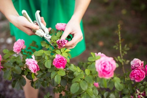 Reviewing a garden maintenance complaint fairly