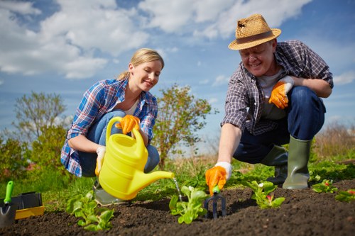 Seasonal garden maintenance in a Pinner residential property