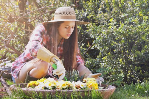 Treating moss and weeds as part of Pinner lawn care
