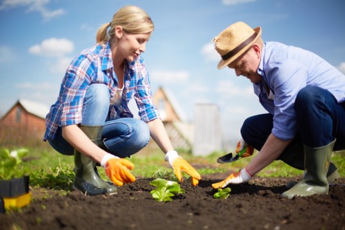 Recycling-focused garden clearance supporting local sustainability