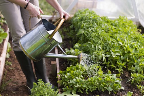 Healthy lawn care as part of garden maintenance in Pinner