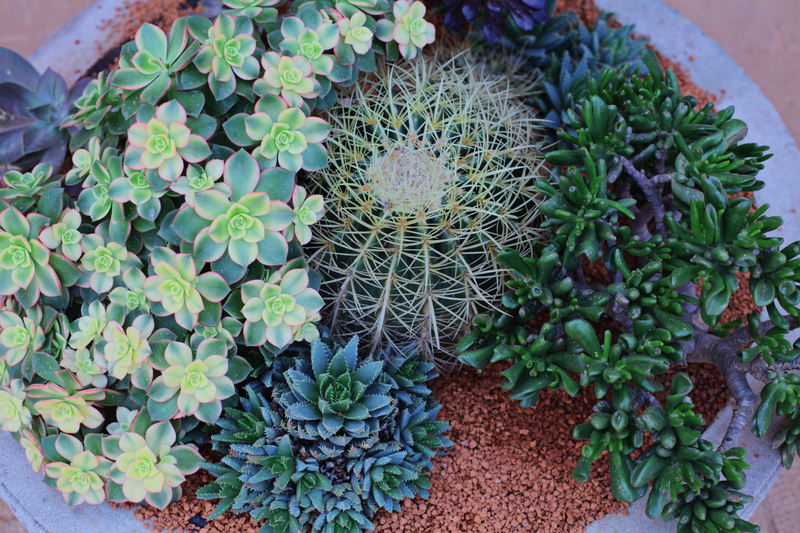 garden design Garden